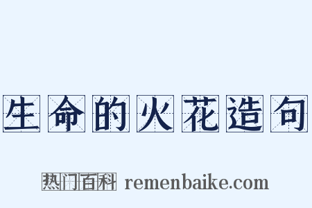 生命的火花造句是什么意思的图片